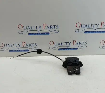Mercedes-Benz CLS C219 Loading door lock A1717500085