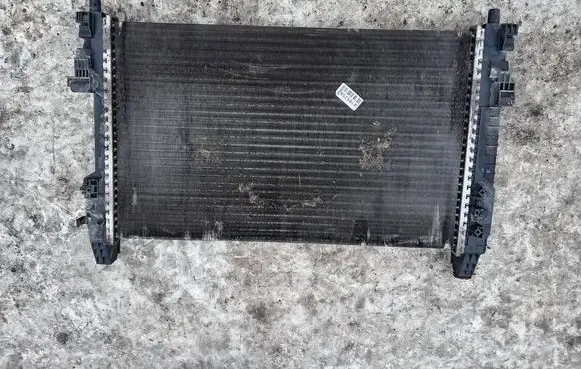 Mercedes-Benz A W169 Coolant radiator A1695000503