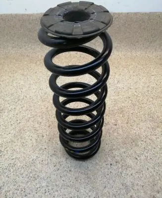 Dacia Spring Rear coil spring 550204082R