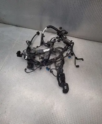 Engine installation wiring loom
