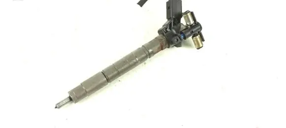 Hyundai Santa Fe Fuel injector 0445116018 338002F000