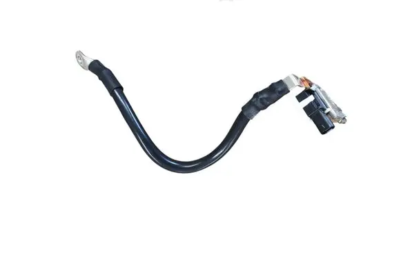 Porsche Macan (95B) Negative earth cable (battery) 80A915181A