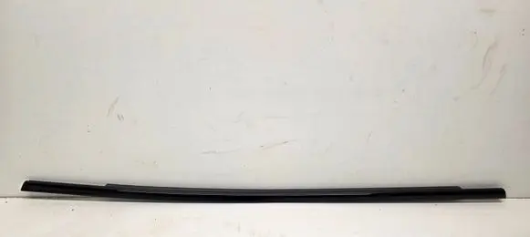 Volvo V40 Cross country Rear door glass trim molding 31662592