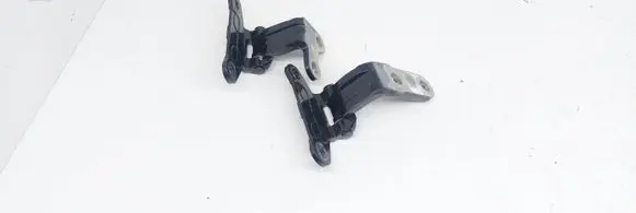 Lexus UX Rear door upper hinge