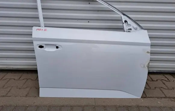 Skoda Fabia Mk3 (NJ) Front door 