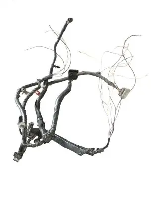 Chrysler Pacifica Other wiring loom