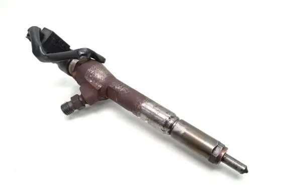Nissan Qashqai Fuel injector 166009445r H8200294788