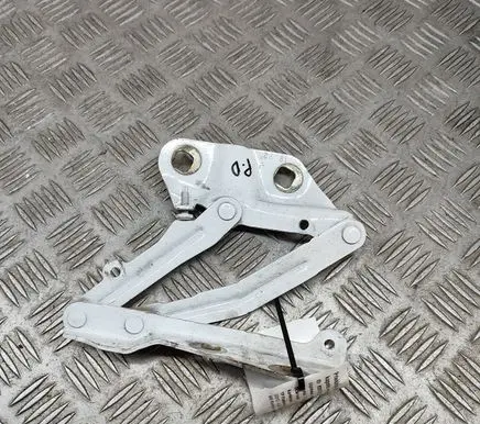 Ford Transit VII Engine bonnet/hood hinges BK2116800BB