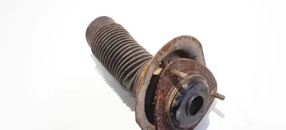 Coil spring mount