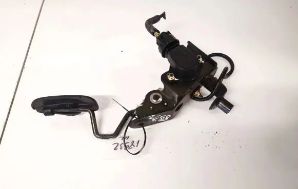 Toyota RAV 4 (XA20) Accelerator throttle pedal 8928120040 89281-20040