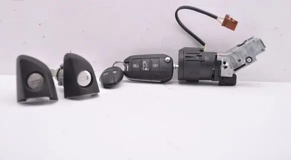 Citroen Berlingo Ignition lock 9663123380
