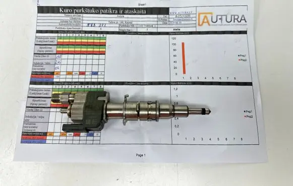 BMW 3 E90 E91 Fuel injector 10181010