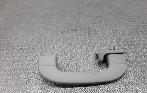 Mercedes-Benz B W245 Rear interior roof grab handle A1698100251