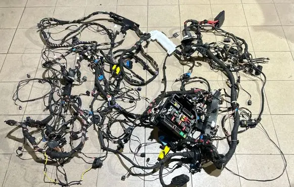 BMW X1 F48 F49 Panel wiring 11107810 07605511 6848649