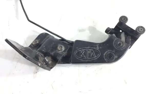 KIA Carnival Sliding door lower roller guide/hinge AMD30121