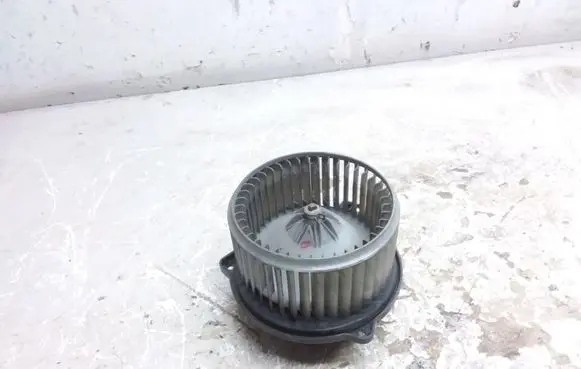 Heater fan/blower