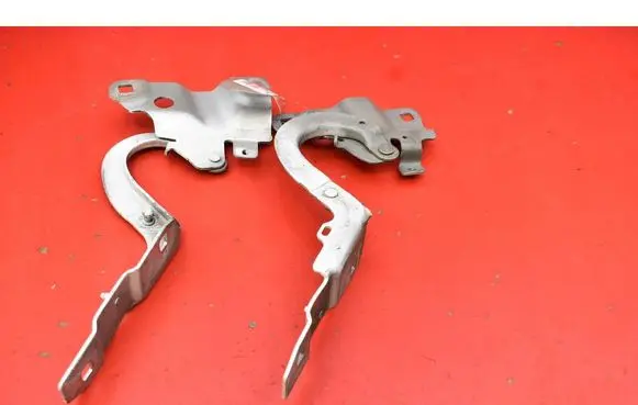 Renault Zoe Engine bonnet/hood hinges 654018609R