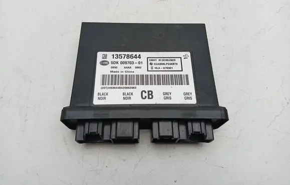 Opel Ampera Keyless (KESSY) go control unit/module 5DK00970301 13578644