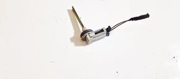 Interior temperature sensor