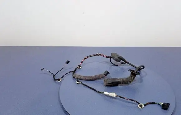 Other wiring loom
