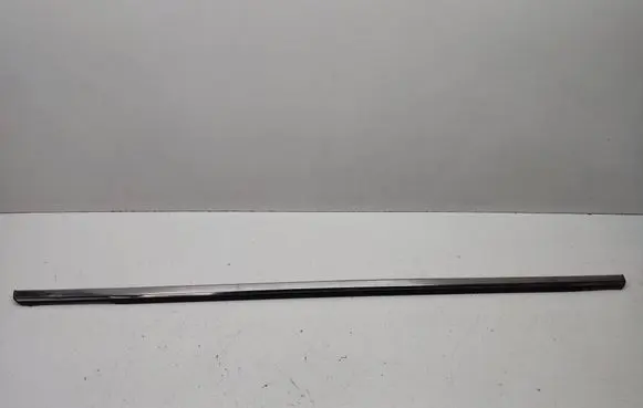 Front door trim (molding)