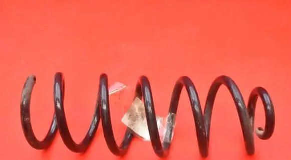 Dacia Sandero Rear coil spring