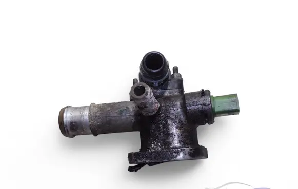 Thermostat/thermostat housing