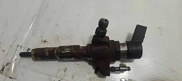 Ford Focus Fuel injector 9674973080 50274V05