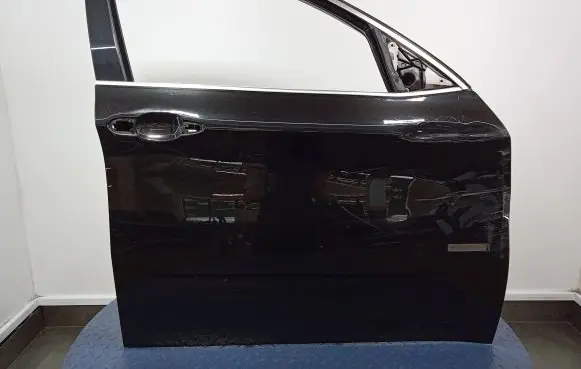 BMW X6 E71 Front door