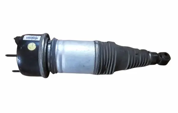 Jaguar XJ X351 Rear shock absorber/damper F308614201