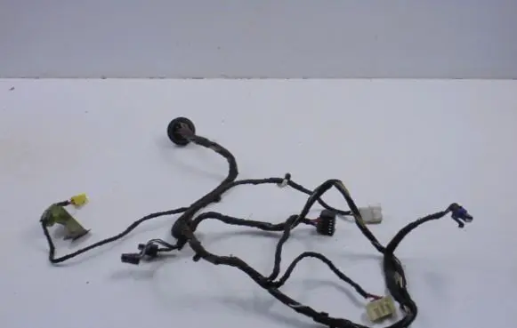 Front door wiring loom