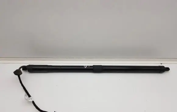 Tailgate strut