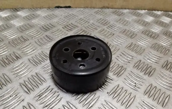 Land Rover Range Rover Sport L494 Power steering pump pulley 4R808509AC
