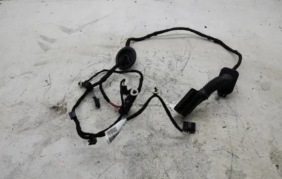 Rear door wiring loom