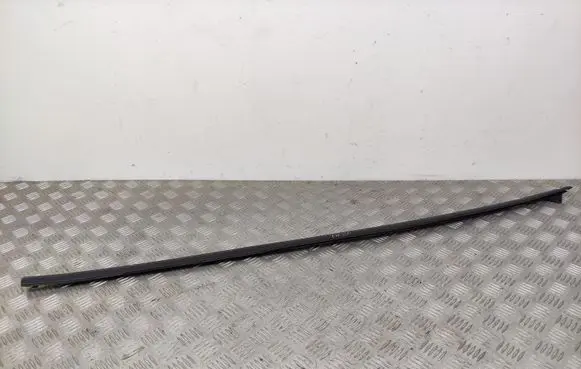 Ford Fiesta Front door glass trim molding 