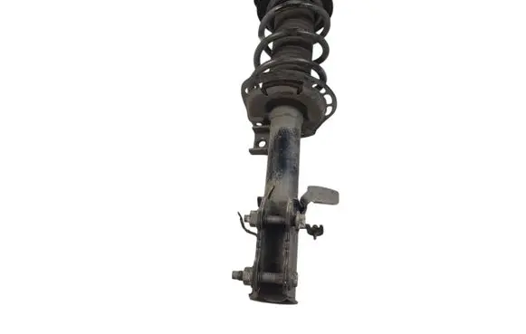 Ford Escape IV Front shock absorber with coil spring LX6118045 LX6118045NAF FLB020