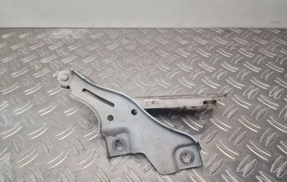 Volkswagen PASSAT B8 Engine bonnet/hood hinges 3G0823301