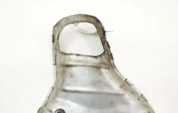 Exhaust heat shield