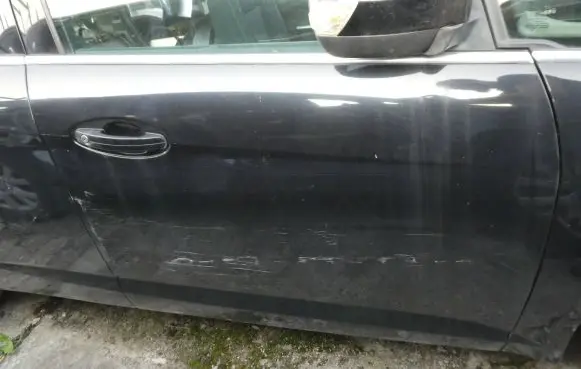 Ford Focus C-MAX Front door