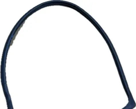 Buick Enclave II Rubber seal rear door 23204920
