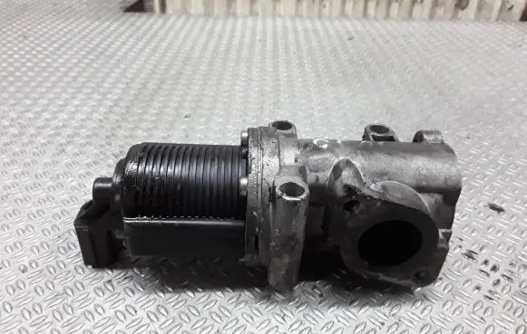 Fiat Idea EGR valve