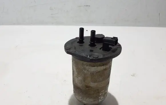 Renault Trafic III (X82) Fuel filter 164004350R