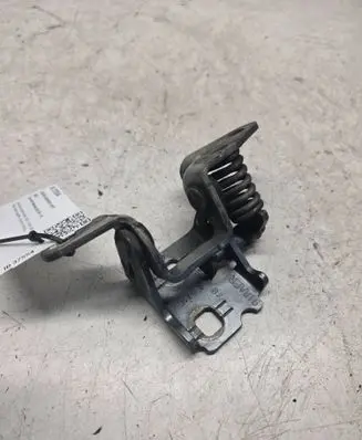 Chrysler Sebring (JS) Rear door lower hinge 85574F