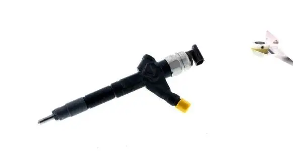 Nissan Pathfinder R51 Fuel injector DCRI105650 0950005650 16600EB30A