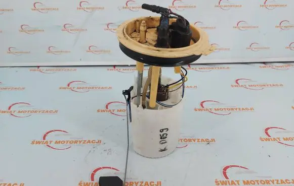 Volkswagen PASSAT B7 In-tank fuel pump 3AA919050H