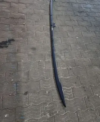 Seat Exeo (3R) Roof bar rail 8E9860021L