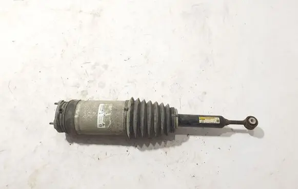 Tesla Model X Rear shock absorber with coil spring 102746100G
