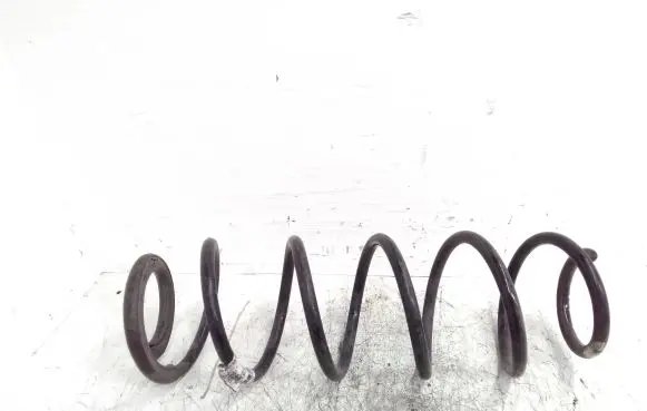 Renault Laguna III Rear coil spring