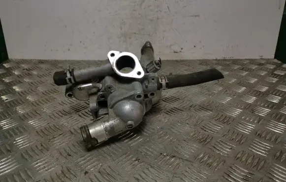 Thermostat/thermostat housing