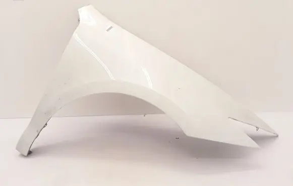 Renault Laguna III Fender 631008701R